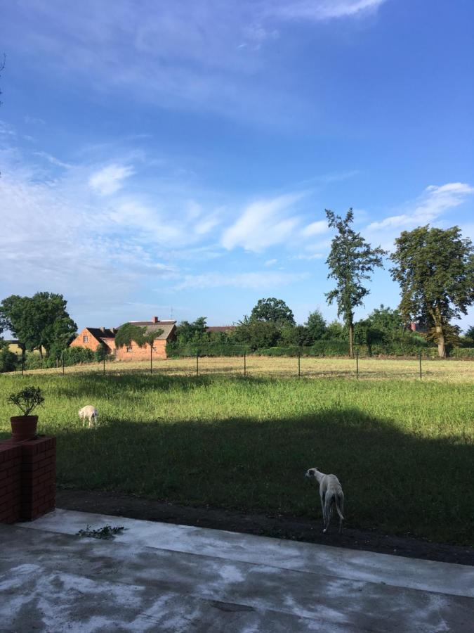 Palac Osowo Gostynskie Gostyń Exterior foto
