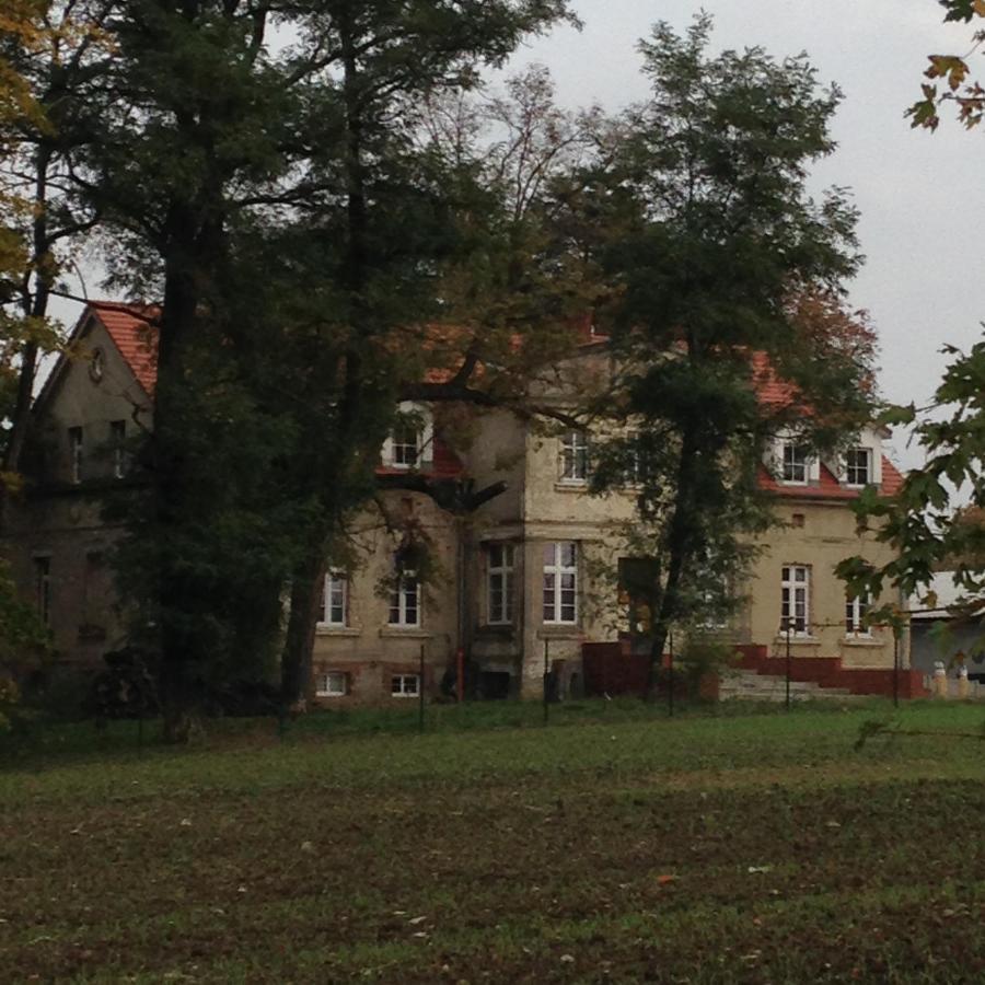 Palac Osowo Gostynskie Gostyń Exterior foto